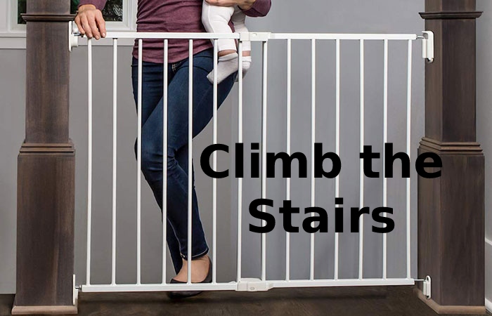 Climb the Stairs Burn Calories Easily