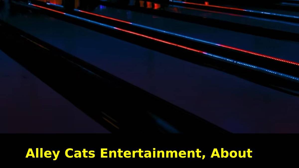 Alley Cats Entertainment Tours And Activities