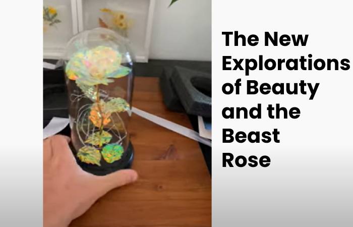 Beauty and the Beast Rose