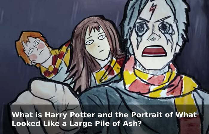 Harry Potter And The Portrait Of What Looked Like A Large Pile Of Ash (3)