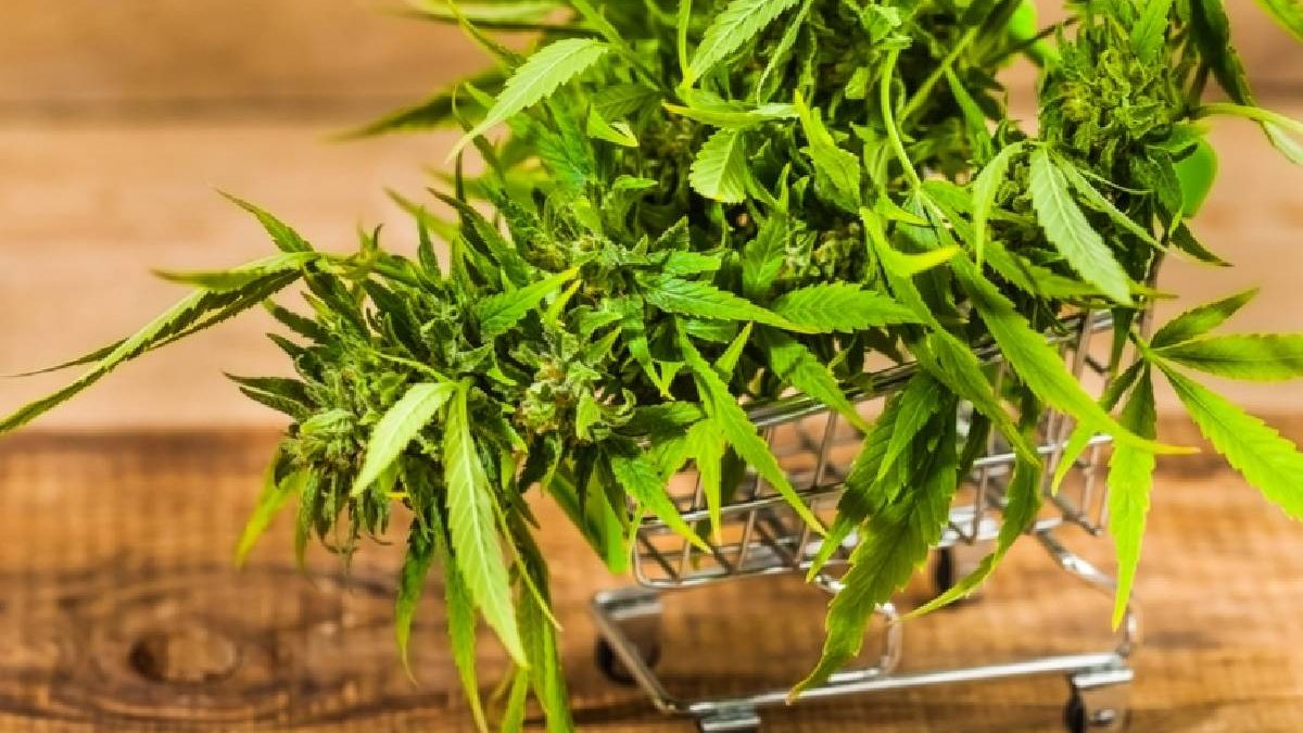 What Should You Know About Pre-Roll Delivery In Vancouver?