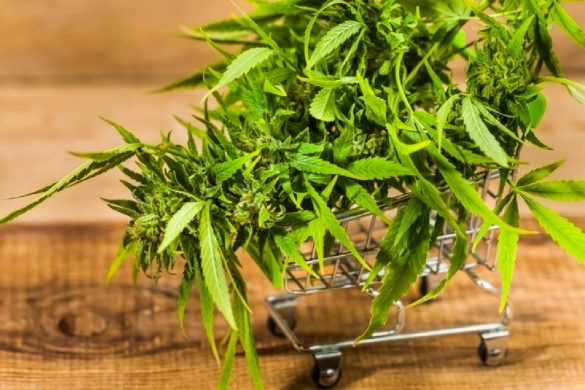 What Should You Know About Pre-Roll Delivery In Vancouver_