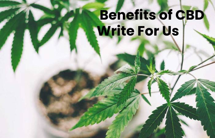 Benefits of CBD Write For Us – Contribute and Submit Guest Post 