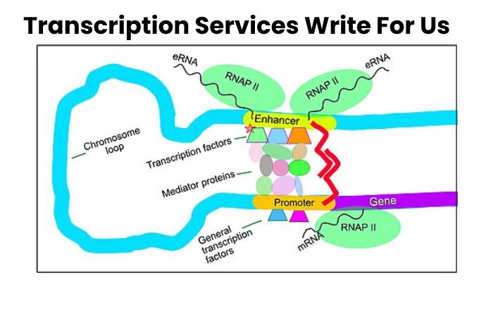 Transcription Services Write For Us 