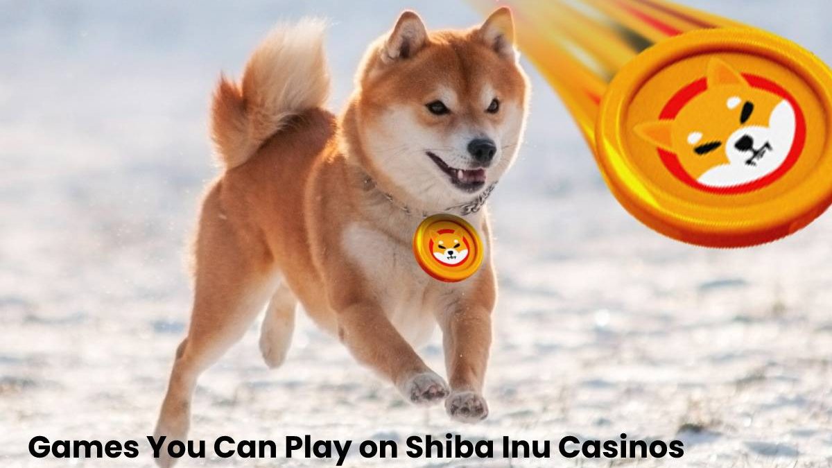 Games You Can Play on Shiba Inu Casinos