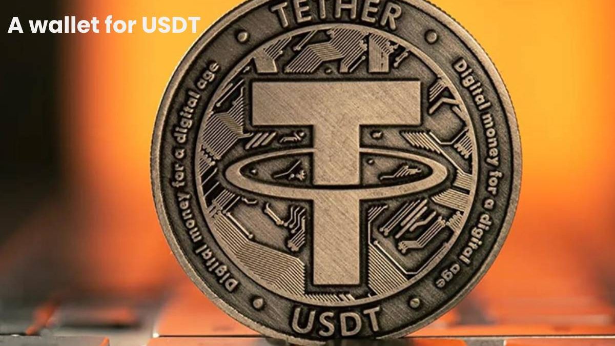 A wallet for USDT: All You Need to Know [2023]