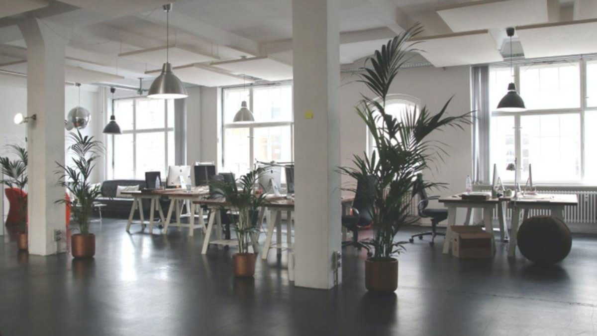 8 New Additions to Freshen Your Office Environment – 2023