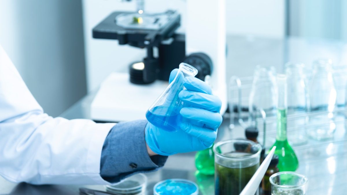 A Complete Guide to Find a Latex Glove Supplier