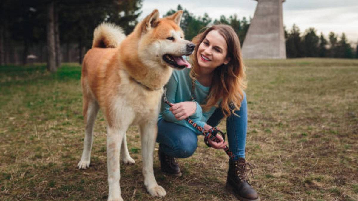 What Type of Pets Does A Pet Sitter Take Care Of