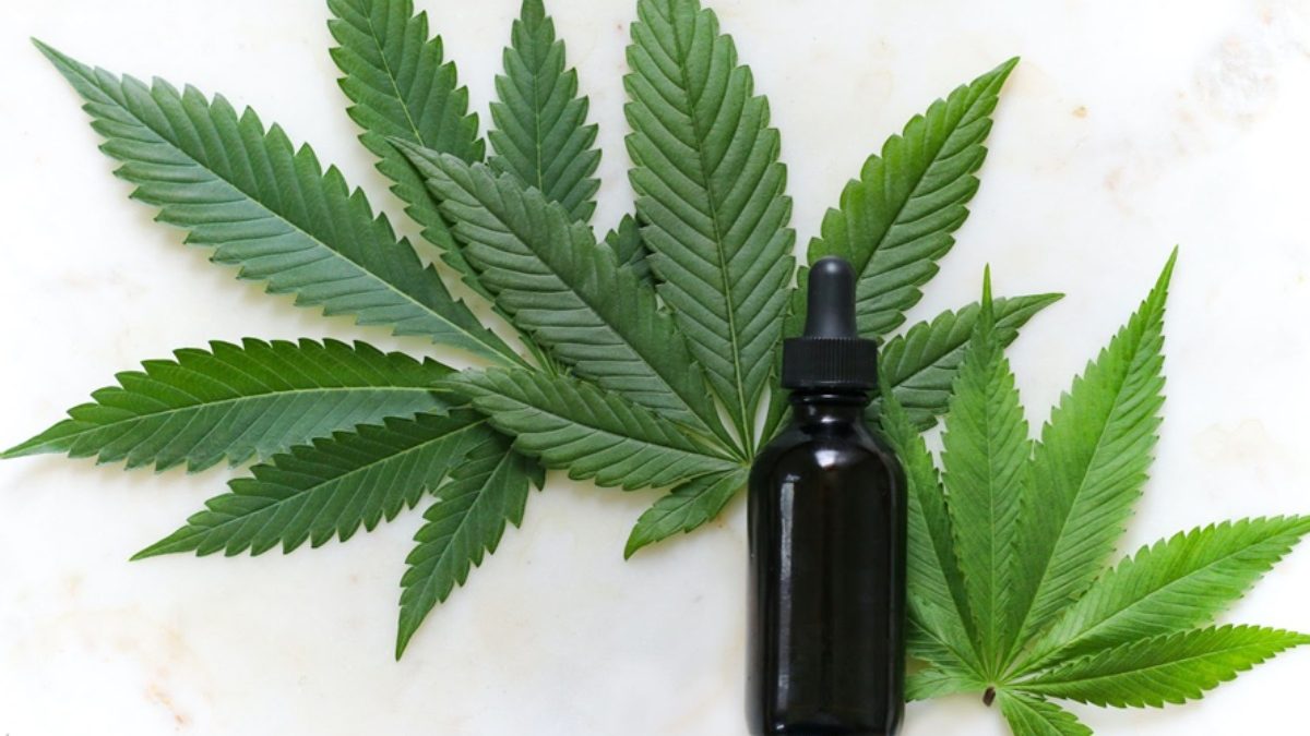 Is CBD Legal in Africa?