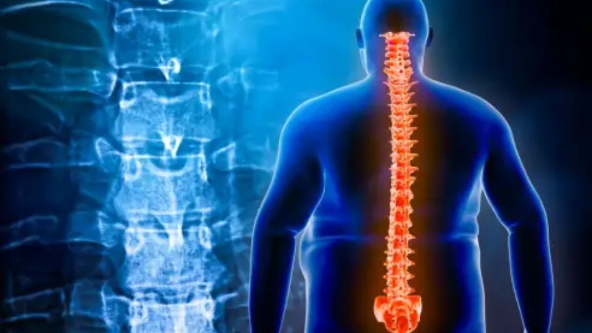 https://www.agresi.my.id/2021/10/back-pain-management-and-pain-relieving.html