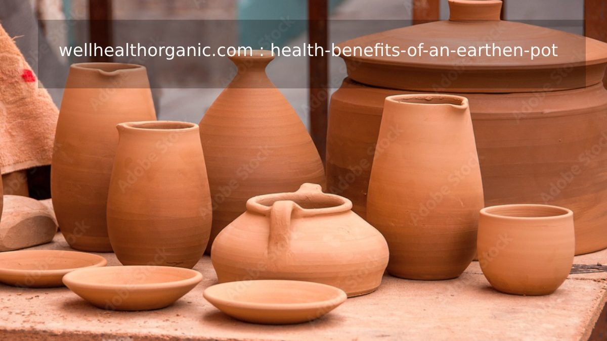 wellhealthorganic.com : health-benefits-of-an-earthen-pot