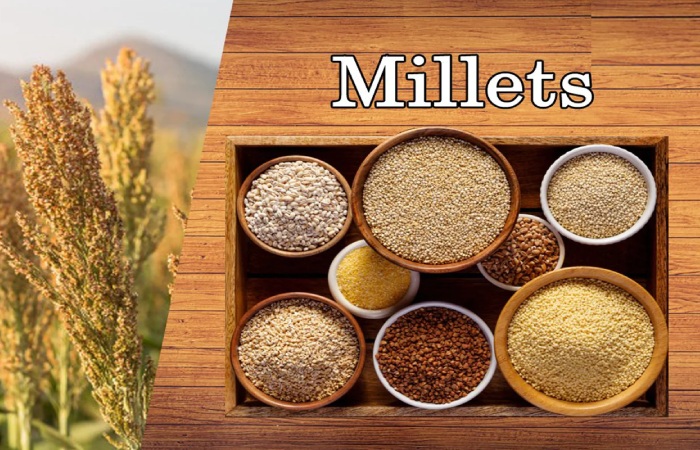 wellhealthorganic.com_to-increase-immunity-include-winter-foods-in-your-diet-health-tips-in-hindi (5)