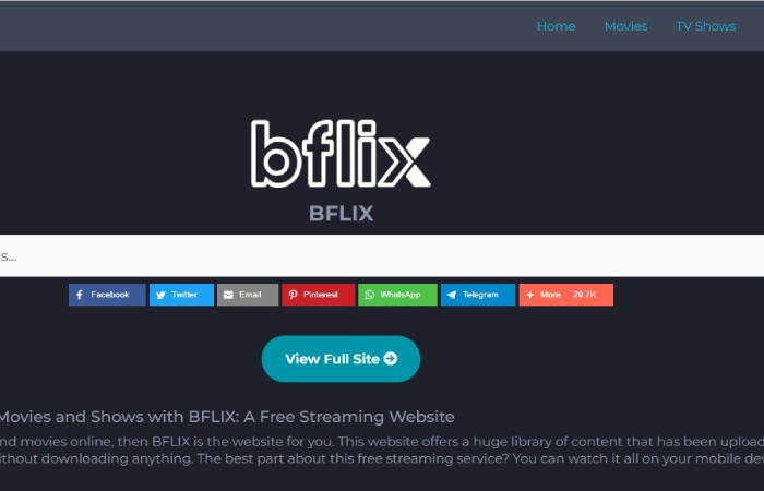 Bflix Movie App (1)