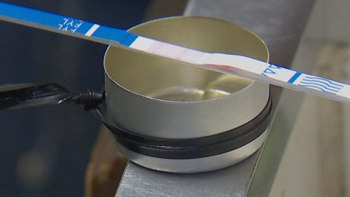 Fentanyl Drug Test Strips: A Lifesaving Tool in the Battle Against Opioid Overdose