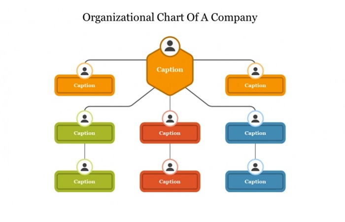 Hierarchy Presentation in PowerPoint (1)