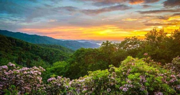 Guide to Taking a Digital Detox Vacation in Gatlinburg-2023