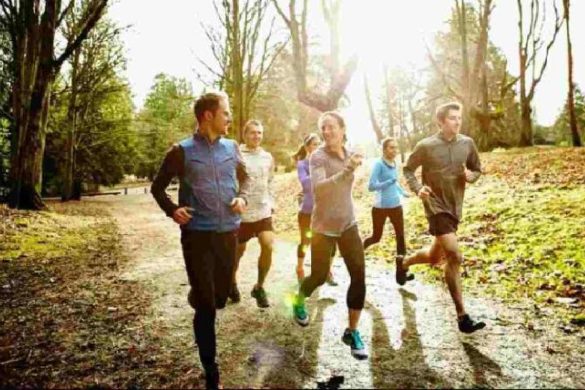 guide to find your fitness and wellness balance in diet