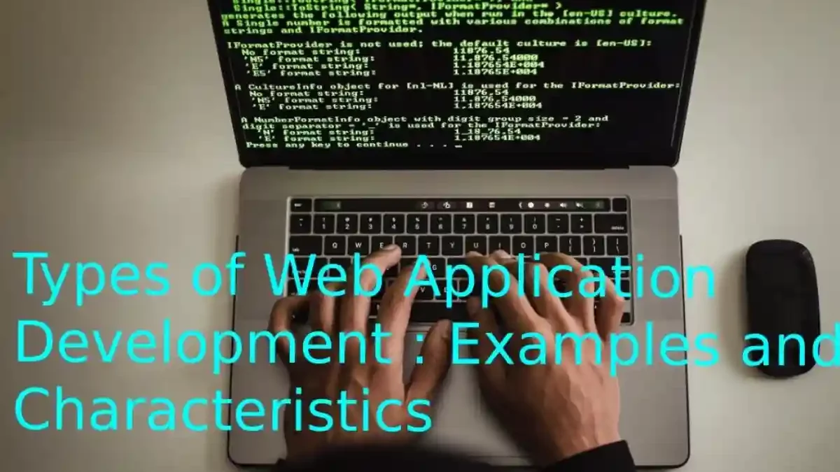 Web Application Development: Characteristics
