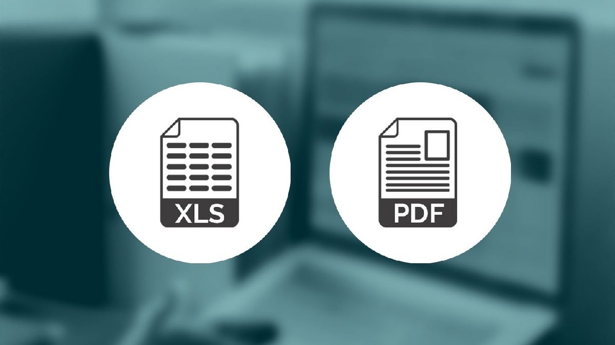 Differences Between Excel Files and PDF