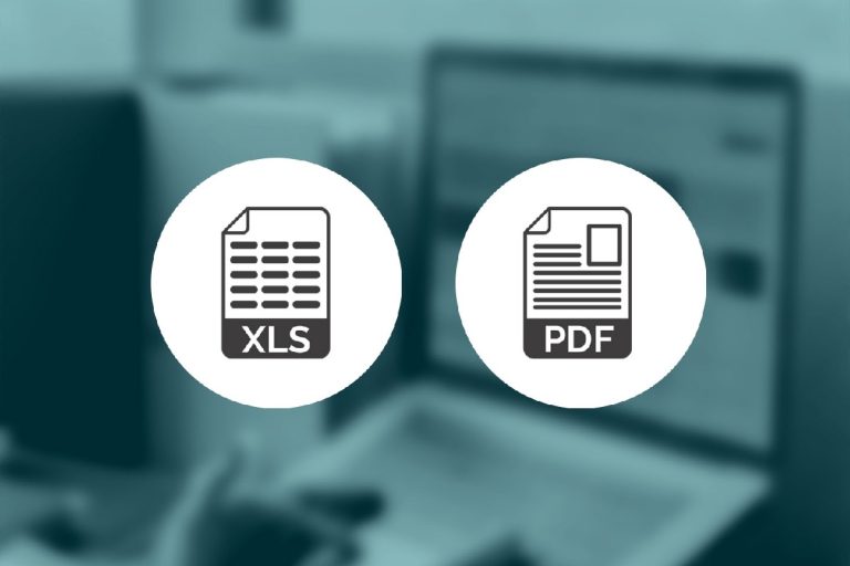 Excel Files and PDF