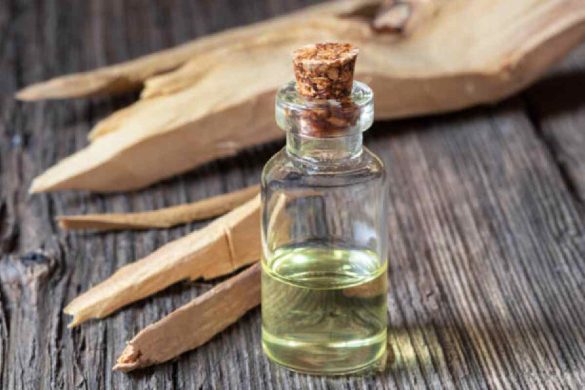 Sandalwood Essential Oil