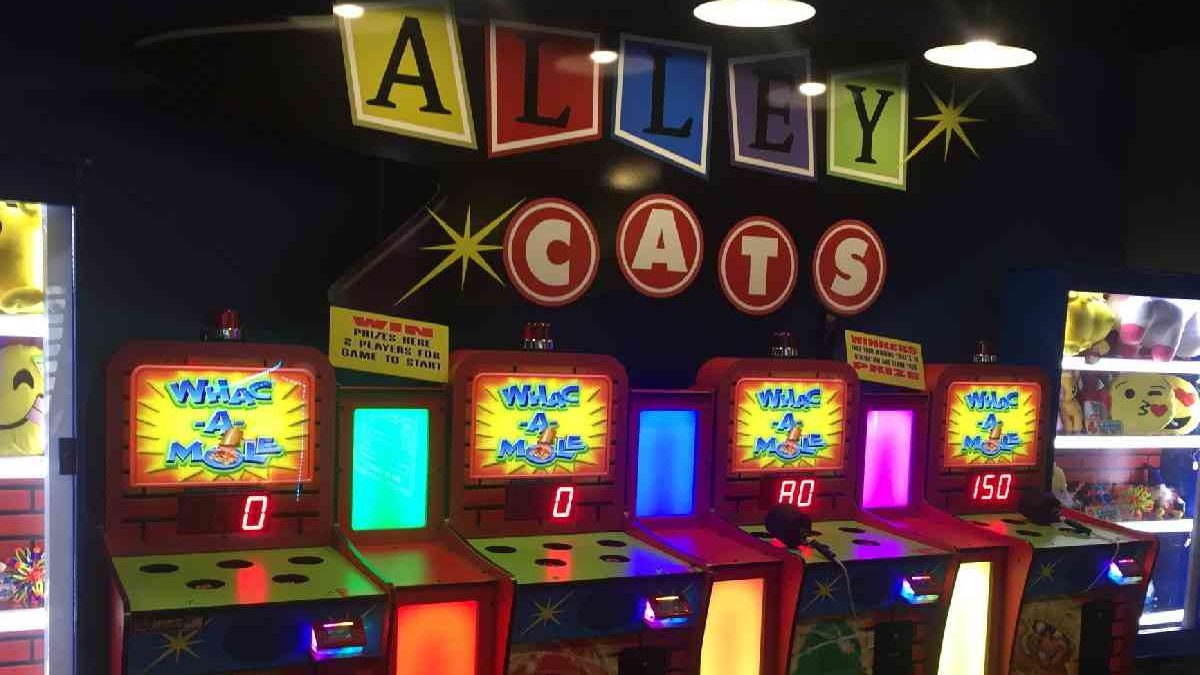 Alley Cats Entertainment Tours And Activities