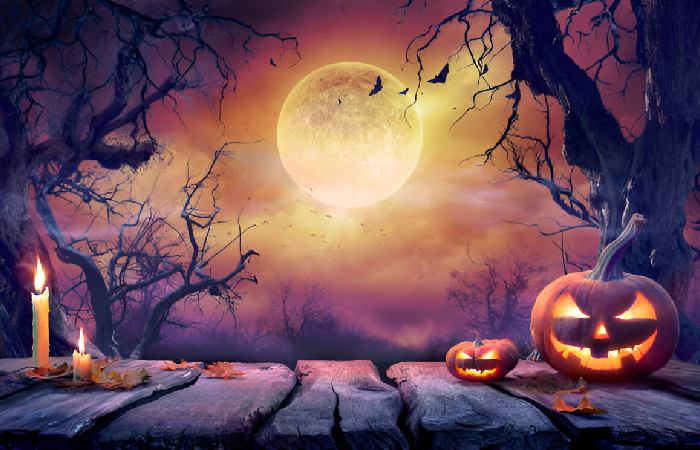 Halloween Write For Us